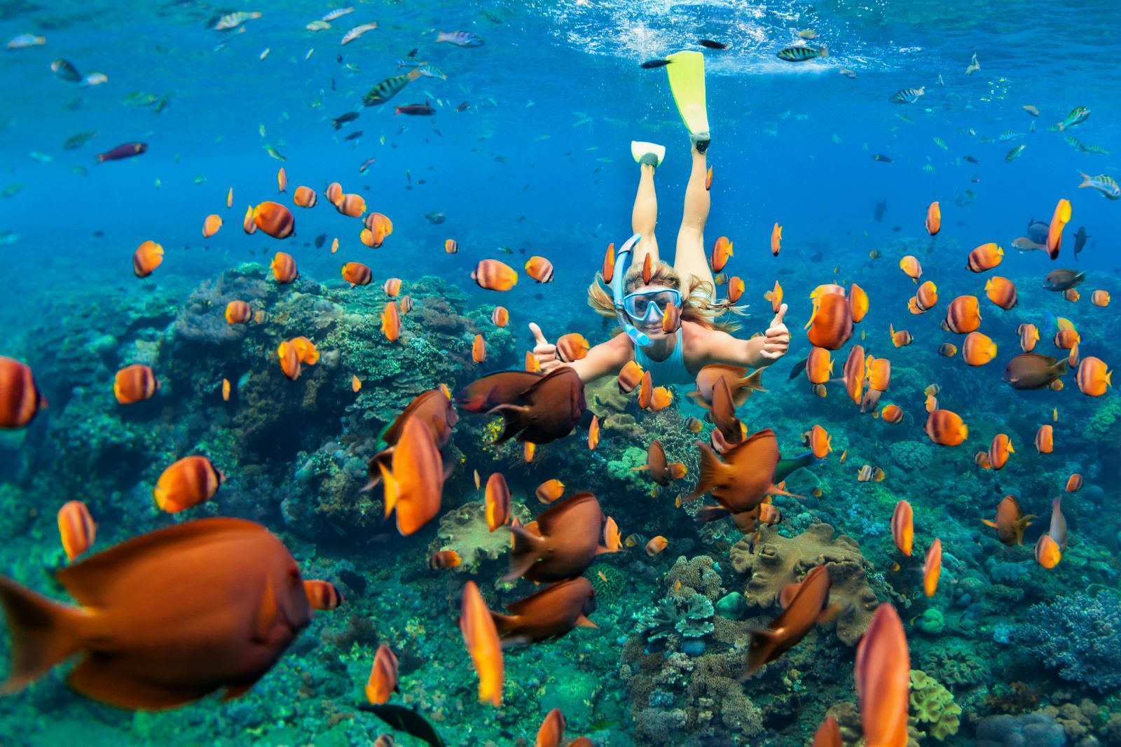 Young woman snorkeling in tropical reef