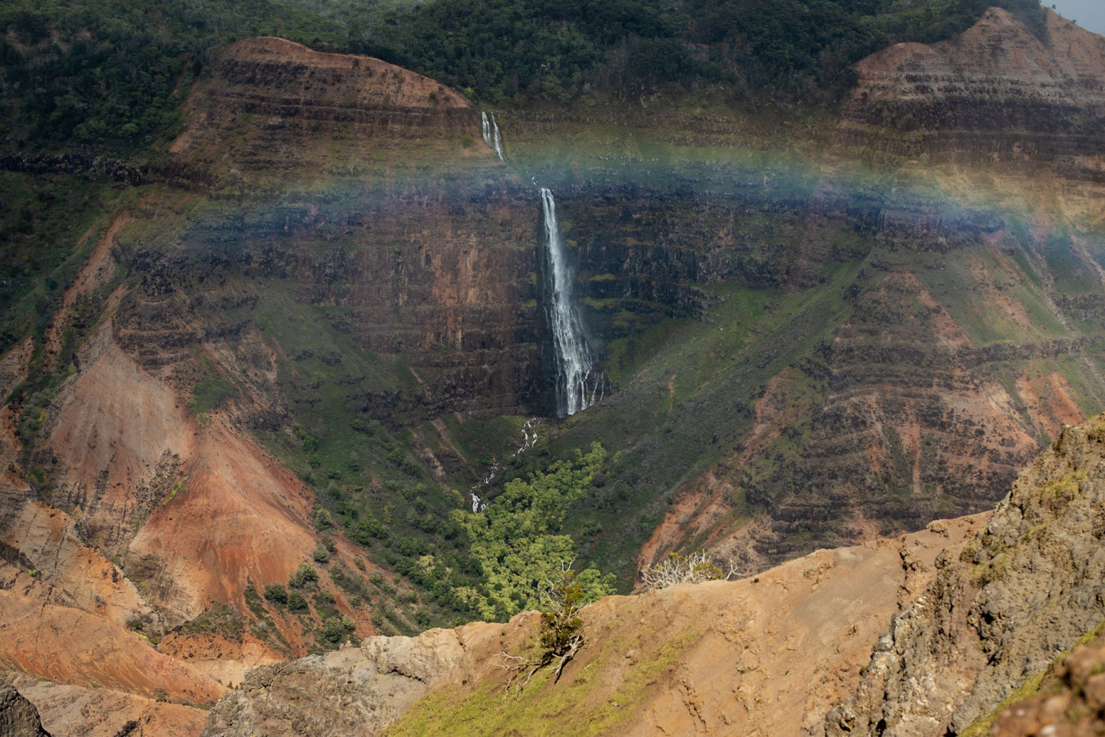 Things to Do in the Town of Waimea on Kauai’s West Shore