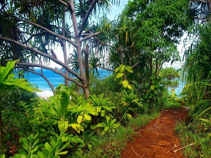 Kalalau Trail