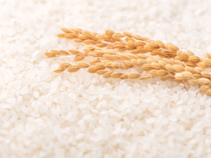 up close image of rice