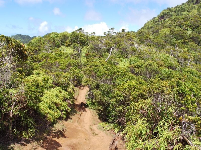 kokee state park