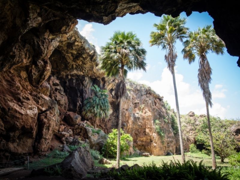 wakauwahi cave view