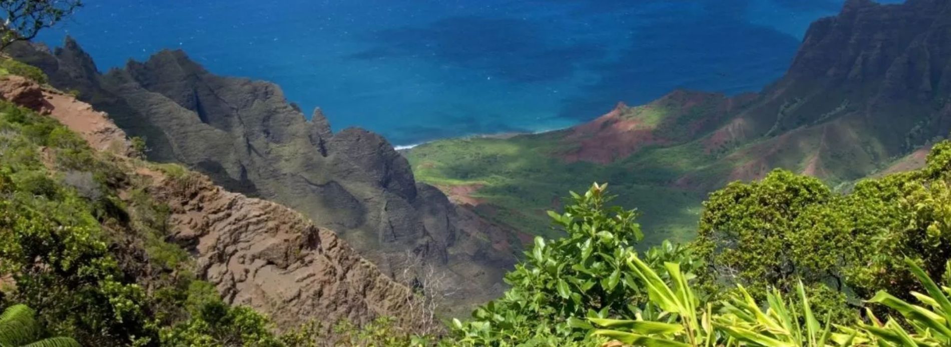 Aerial of Kauai nature