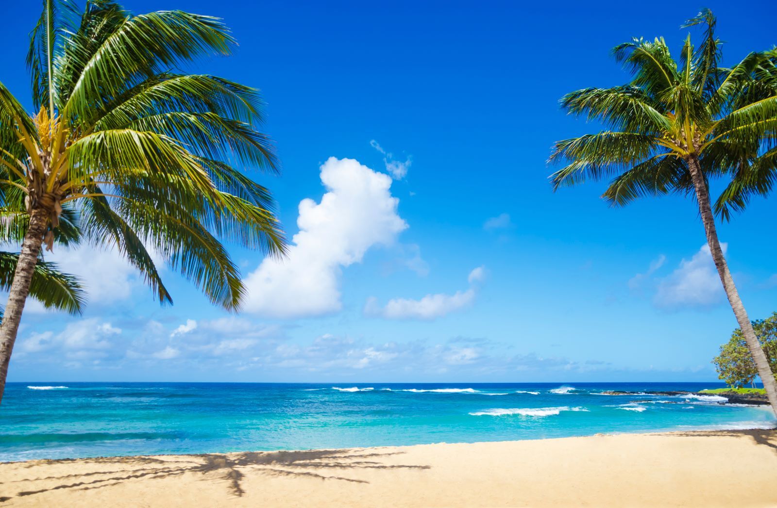 Beach in Kauai, Hawaii