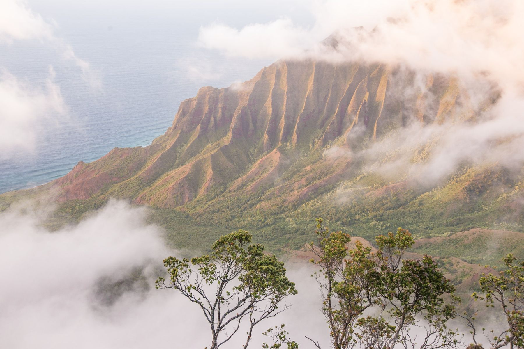 waimea canyon